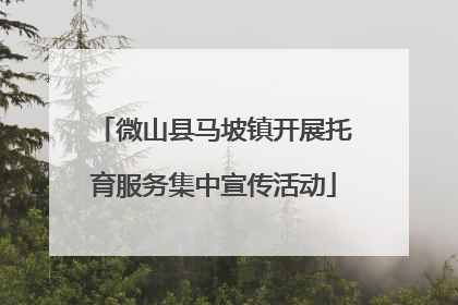 微山县马坡镇开展托育服务集中宣传活动