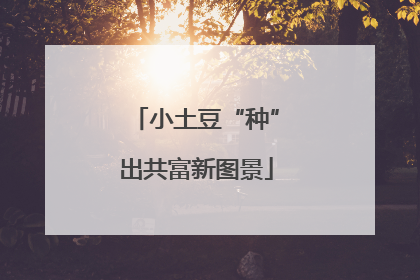 小土豆“种”出共富新图景
