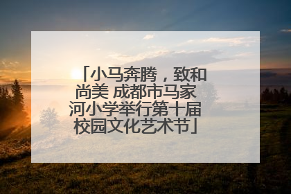 小马奔腾，致和尚美 成都市马家河小学举行第十届校园文化艺术节