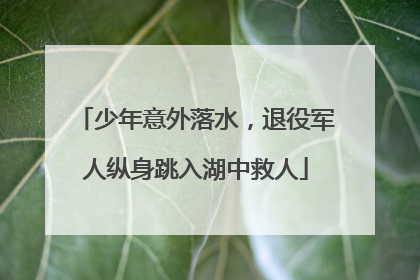 少年意外落水，退役军人纵身跳入湖中救人