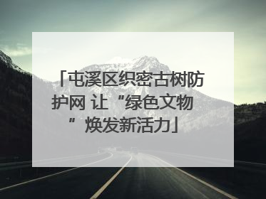 屯溪区织密古树防护网 让“绿色文物”焕发新活力
