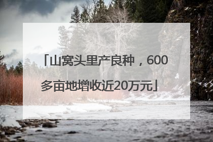 山窝头里产良种，600多亩地增收近20万元