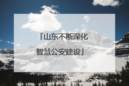 山东不断深化智慧公安建设