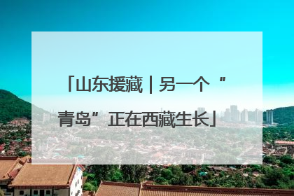 山东援藏｜另一个“青岛”正在西藏生长