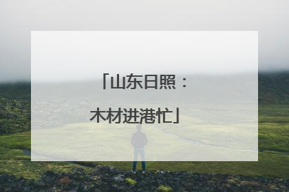 山东日照：木材进港忙