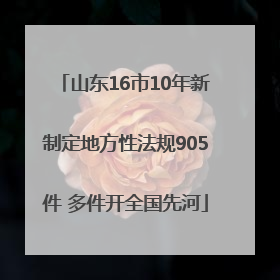 山东16市10年新制定地方性法规905件 多件开全国先河