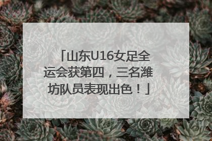 山东U16女足全运会获第四，三名潍坊队员表现出色！