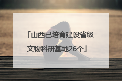 山西已培育建设省级文物科研基地26个