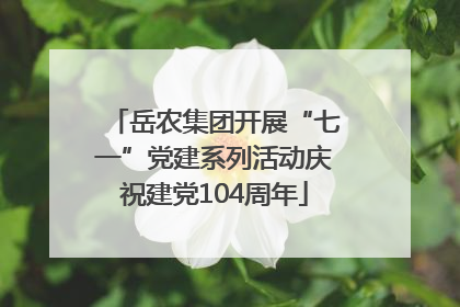 岳农集团开展“七一”党建系列活动庆祝建党104周年