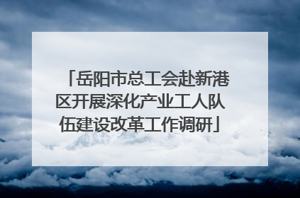 岳阳市总工会赴新港区开展深化产业工人队伍建设改革工作调研
