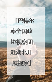 巴特尔率全国政协视察团赴湖北开展视察