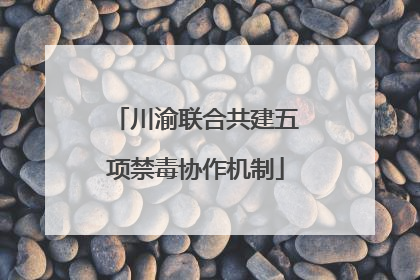 川渝联合共建五项禁毒协作机制