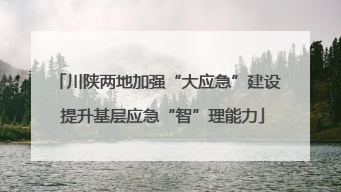 川陕两地加强“大应急”建设 提升基层应急“智”理能力