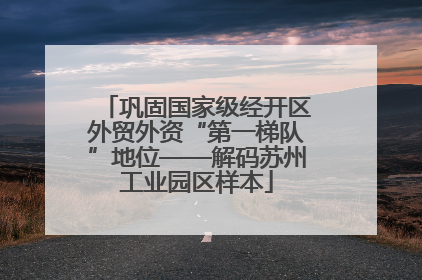 巩固国家级经开区外贸外资“第一梯队”地位——解码苏州工业园区样本