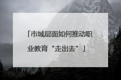 市域层面如何推动职业教育“走出去”