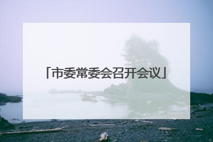 市委常委会召开会议