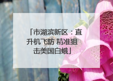 市湖滨新区：直升机飞防 精准狙击美国白蛾