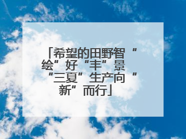 希望的田野智“绘”好“丰”景 “三夏”生产向“新”而行