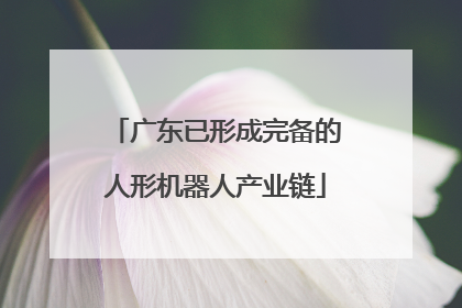 广东已形成完备的人形机器人产业链