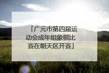 广元市第四届运动会成年组象棋比赛在朝天区开赛