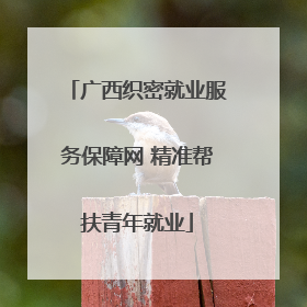 广西织密就业服务保障网 精准帮扶青年就业