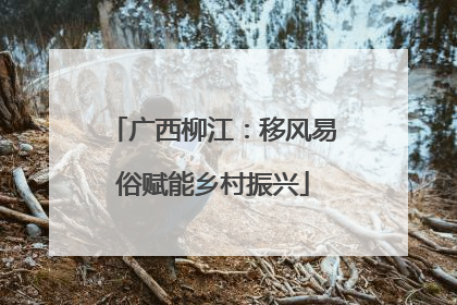 广西柳江：移风易俗赋能乡村振兴