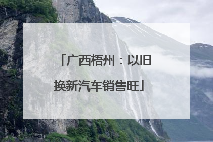 广西梧州：以旧换新汽车销售旺