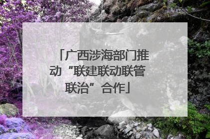 广西涉海部门推动“联建联动联管联治”合作