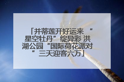 并蒂莲开好运来 “星空牡丹”绽异彩 洪湖公园“国际荷花派对”三天迎客六万