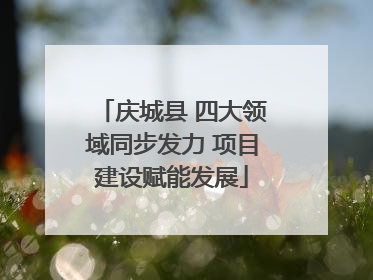 庆城县 四大领域同步发力 项目建设赋能发展
