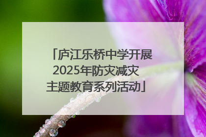 庐江乐桥中学开展2025年防灾减灾主题教育系列活动