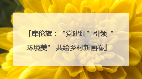 库伦旗：“党建红”引领“环境美” 共绘乡村新画卷