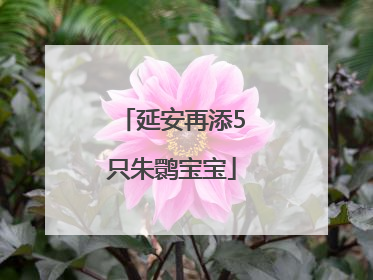 延安再添5只朱鹮宝宝
