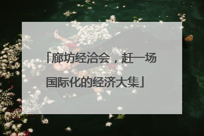 廊坊经洽会，赶一场国际化的经济大集