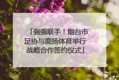 强强联手！烟台市足协与鹿扬体育举行战略合作签约仪式