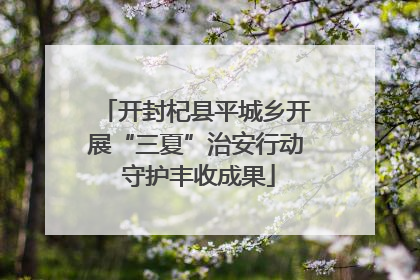开封杞县平城乡开展“三夏”治安行动 守护丰收成果