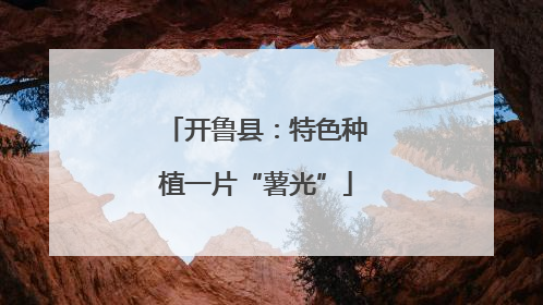 开鲁县：特色种植一片“薯光”