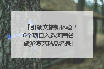 引领文旅新体验！6个项目入选河南省旅游演艺精品名录