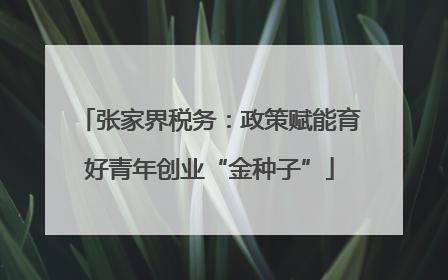 张家界税务：政策赋能育好青年创业“金种子”