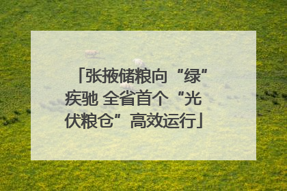 张掖储粮向“绿”疾驰 全省首个“光伏粮仓”高效运行
