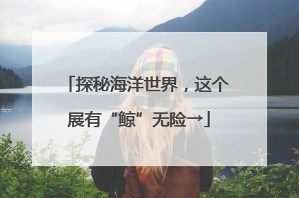 探秘海洋世界，这个展有“鲸”无险→