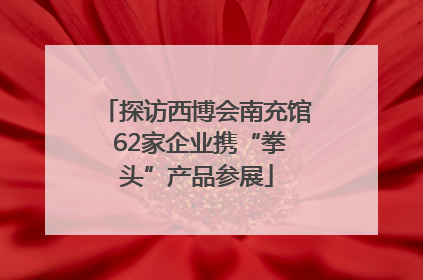 探访西博会南充馆 62家企业携“拳头”产品参展