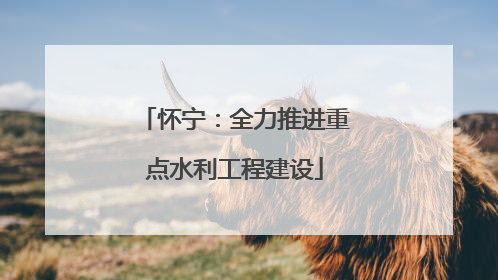 怀宁：全力推进重点水利工程建设