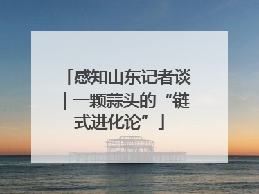 感知山东记者谈｜一颗蒜头的“链式进化论”
