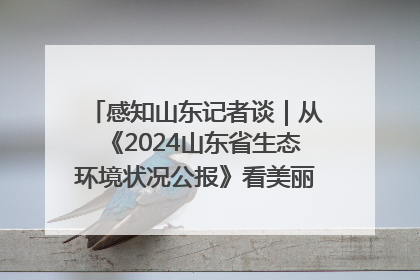 感知山东记者谈｜从《2024山东省生态环境状况公报》看美丽山东建设的“成绩单”与“任务书”