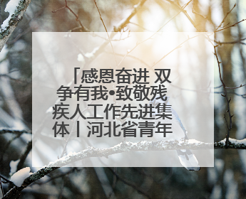 感恩奋进 双争有我•致敬残疾人工作先进集体丨河北省青年志愿者中心（“小橘灯”助残接力计划实施团队）：用温暖陪伴，守护特殊孩子成长