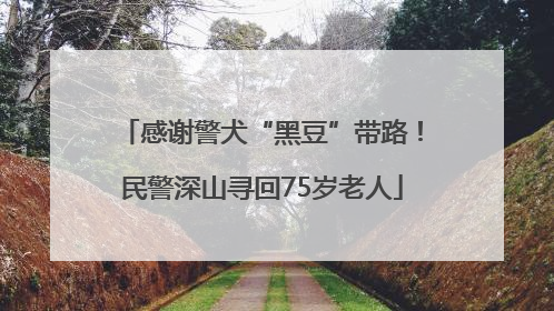 感谢警犬“黑豆”带路！民警深山寻回75岁老人