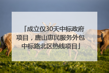 成立仅30天中标政府项目，唐山惠民服务外包中标路北区热线项目