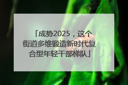 成势2025，这个街道多维锻造新时代复合型年轻干部梯队