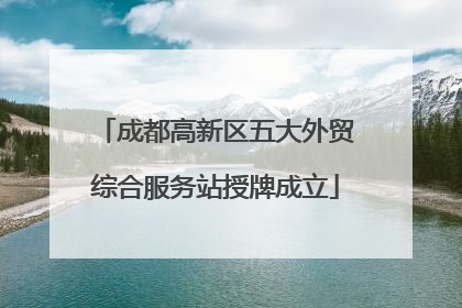 成都高新区五大外贸综合服务站授牌成立